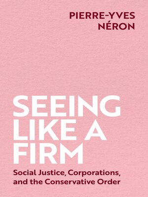 cover image of Seeing Like a Firm